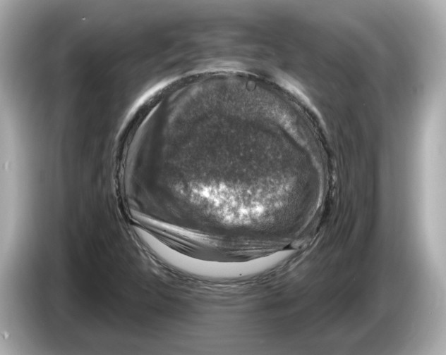 X0000085761312200704091327