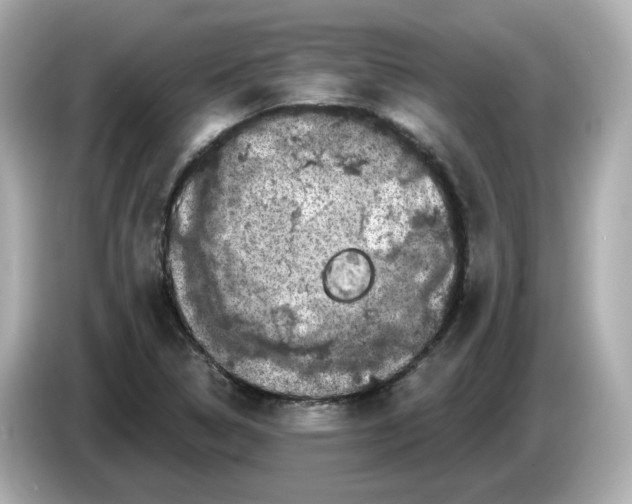 X0000085761314200704091327