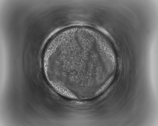 X0000085761318200704091327