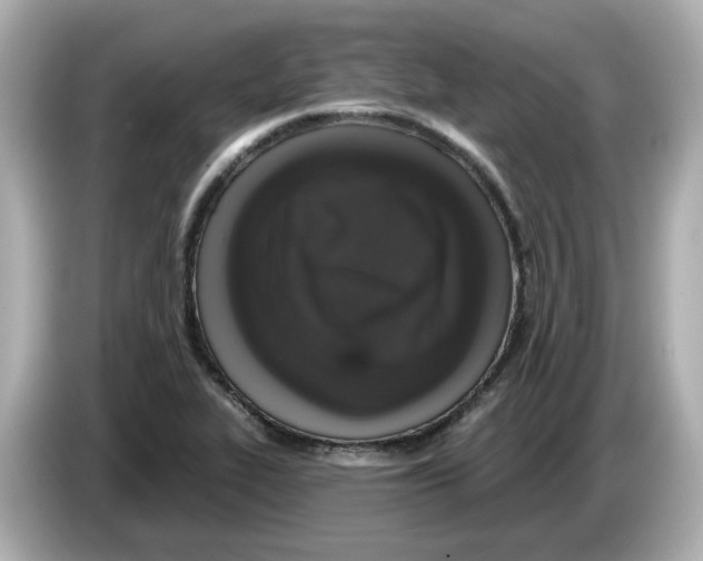 X0000085761319200704091327