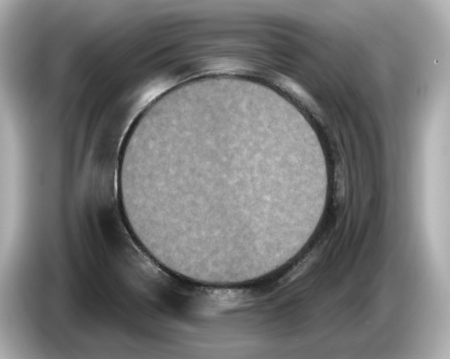 X0000085761322200704091327
