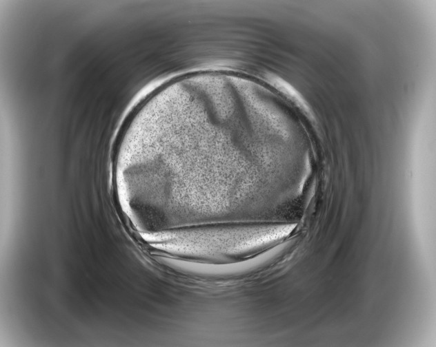 X0000085761324200704091327
