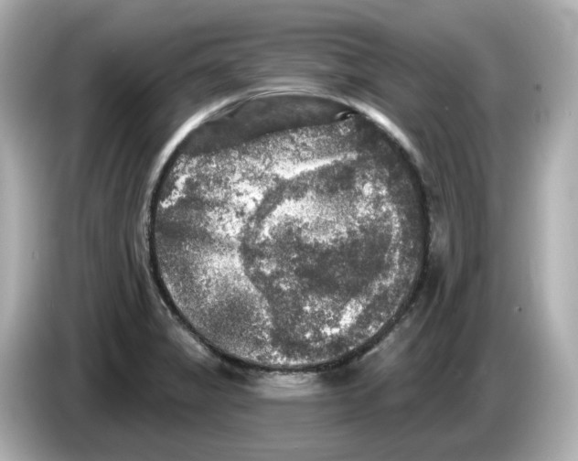 X0000085761325200704091327