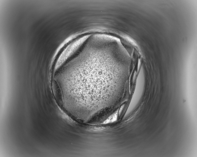 X0000085761326200704091327