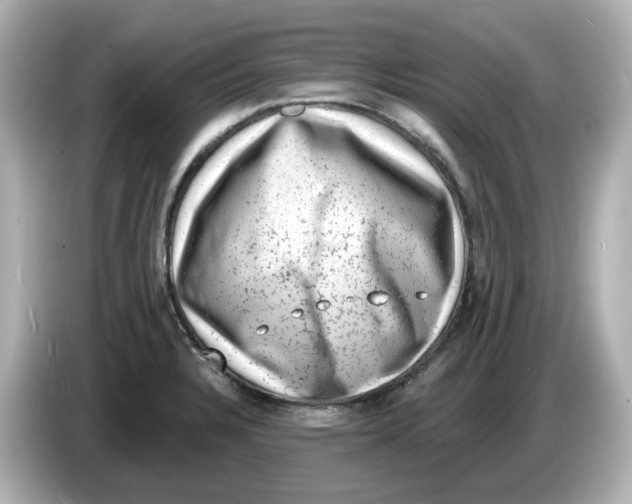 X0000085761328200704091327