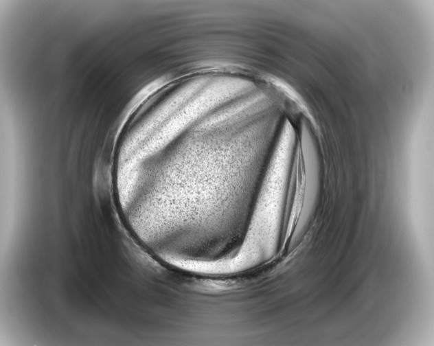 X0000085761330200704091327