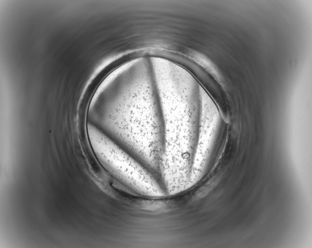 X0000085761332200704091327