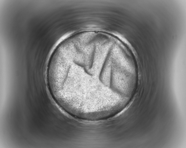 X0000085761333200704091327