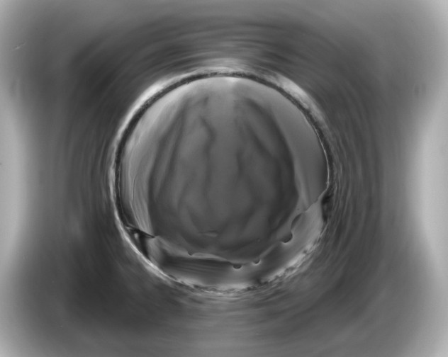 X0000085761334200704091327