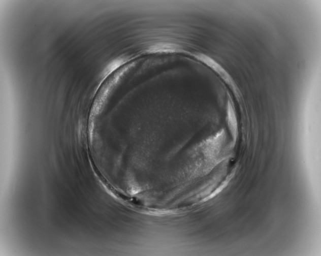 X0000085761337200704091327