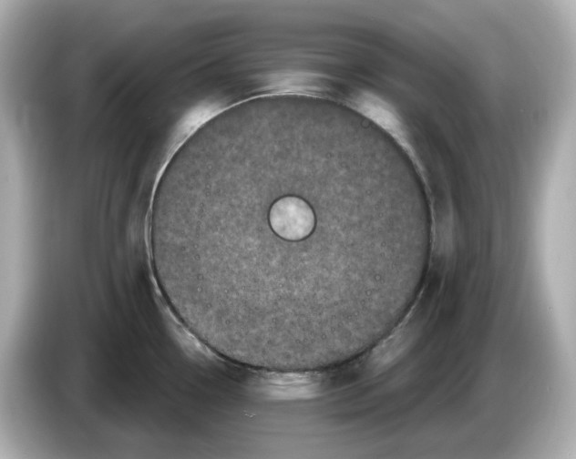 X0000085761338200704091327