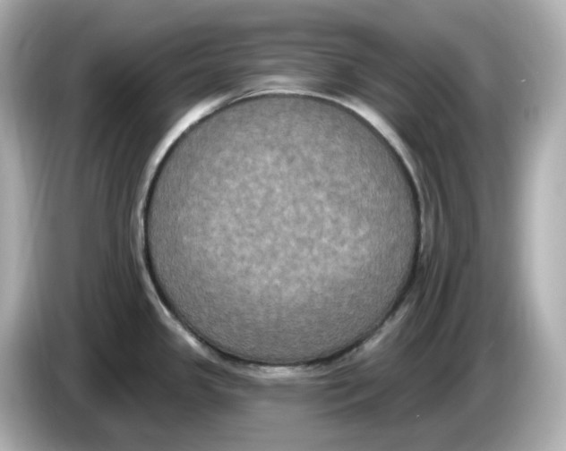 X0000085761341200704091327