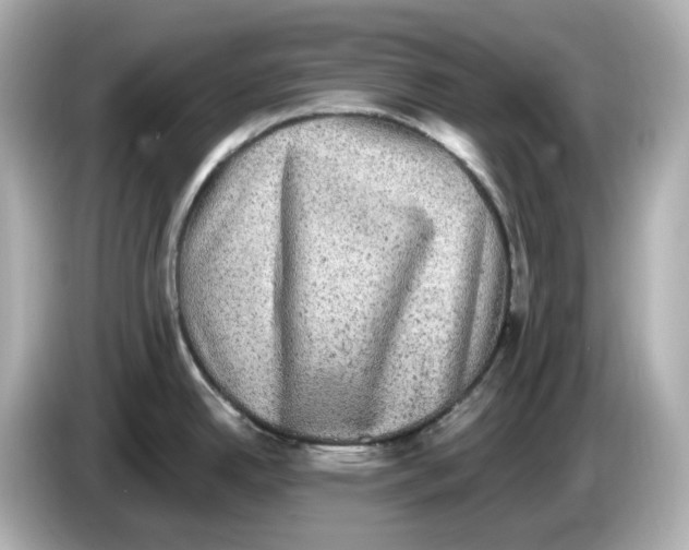 X0000085761342200704091327