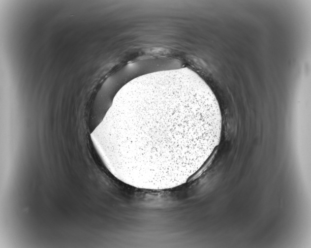 X0000085761345200704091327