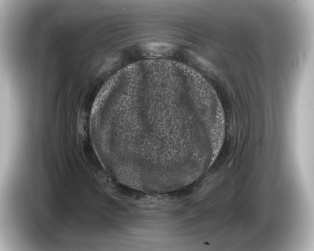 X0000085761346200704091327