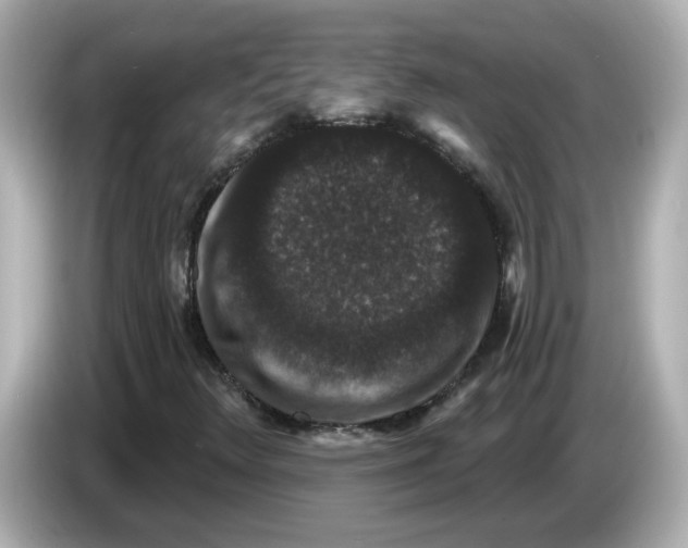 X0000085761348200704091327