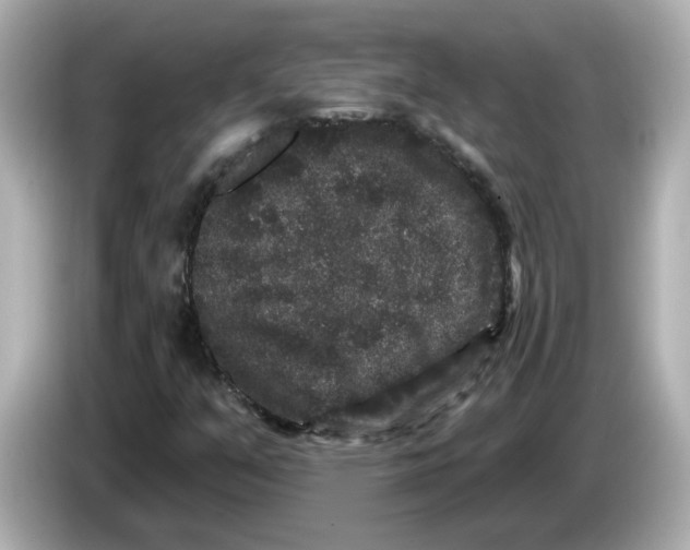 X0000085761351200704091327