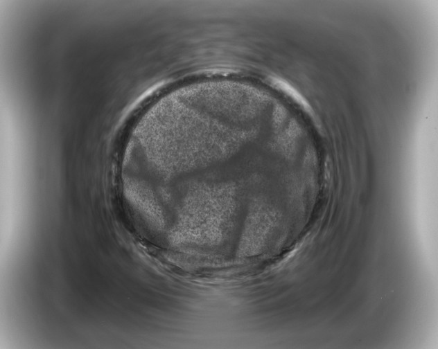 X0000085761352200704091327