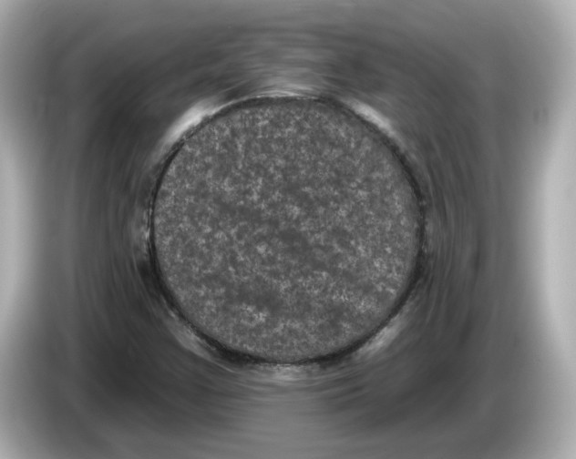 X0000085761355200704091327