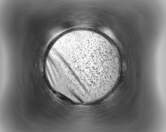 X0000085761356200704091327