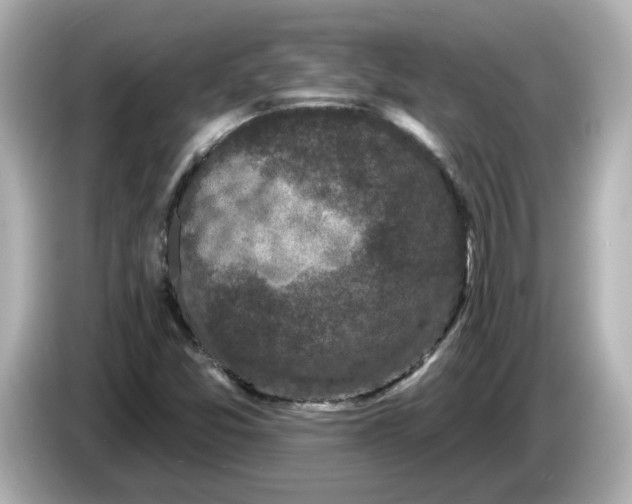 X0000085761357200704091327