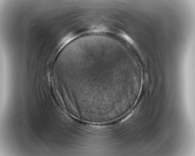 X0000085761361200704091327