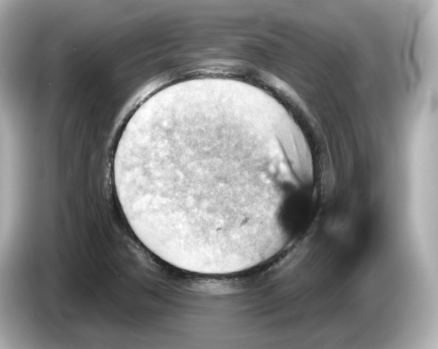 X0000085761362200704091327