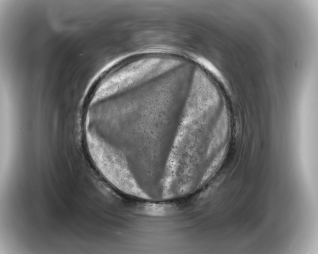 X0000085761364200704091326