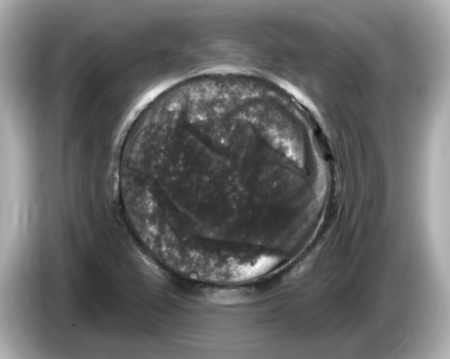 X0000085761367200704091326