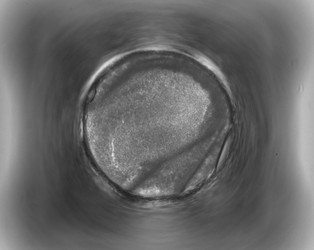X0000085761368200704091326