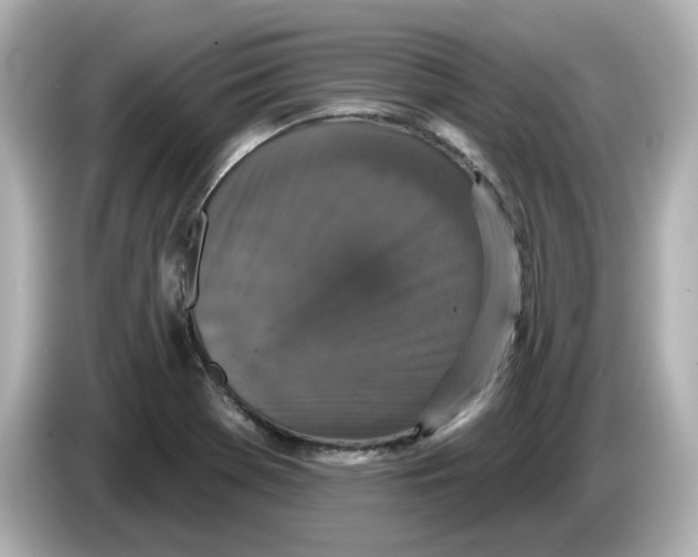 X0000085761369200704091326