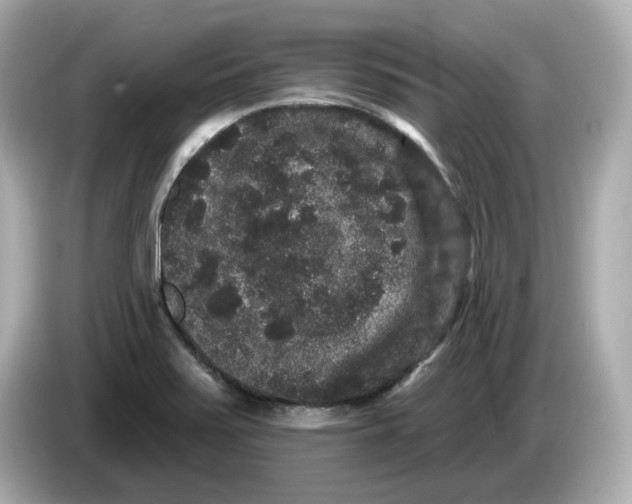 X0000085761371200704091326