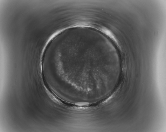 X0000085761372200704091326