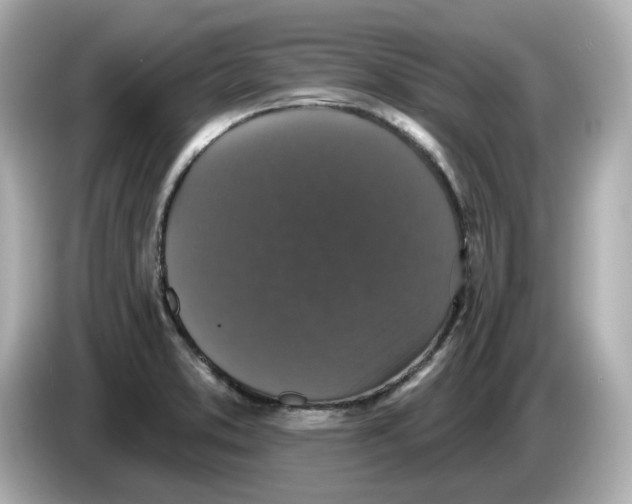 X0000085761373200704091326