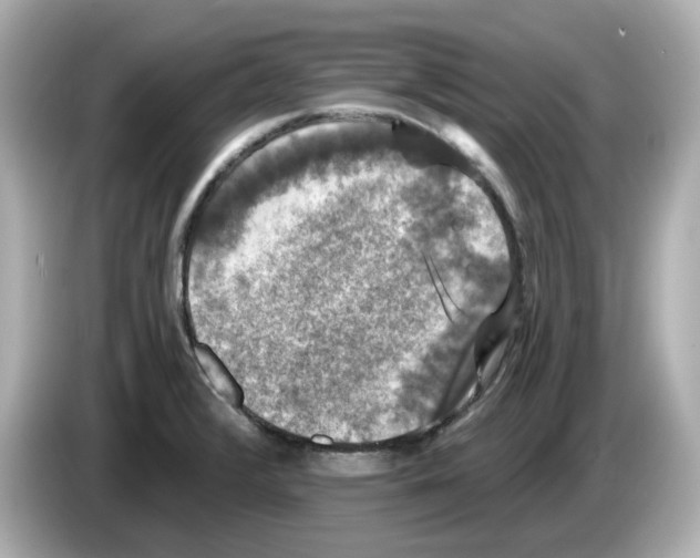 X0000085761376200704091326