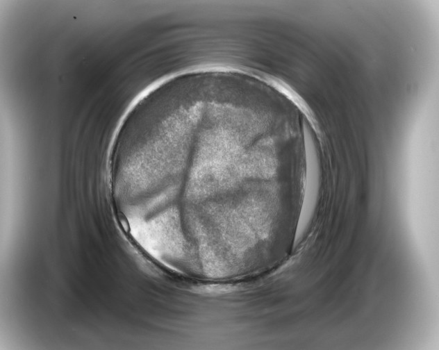 X0000085761380200704091326