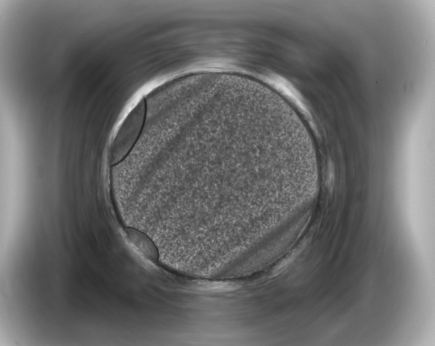 X0000085761382200704091326