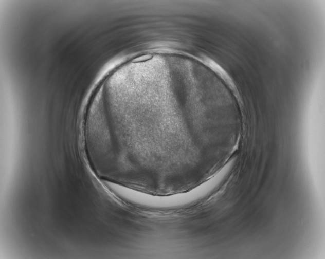 X0000085761384200704091326