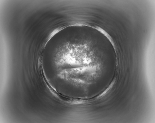 X0000085761385200704091326