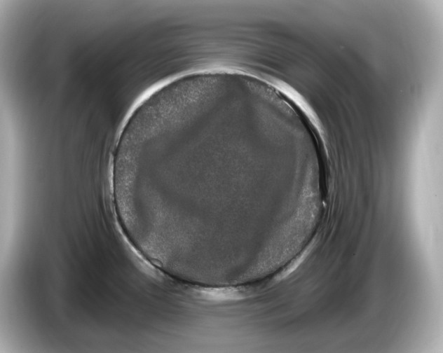 X0000085761388200704091326