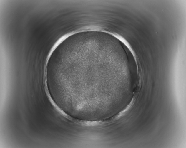 X0000085761389200704091326