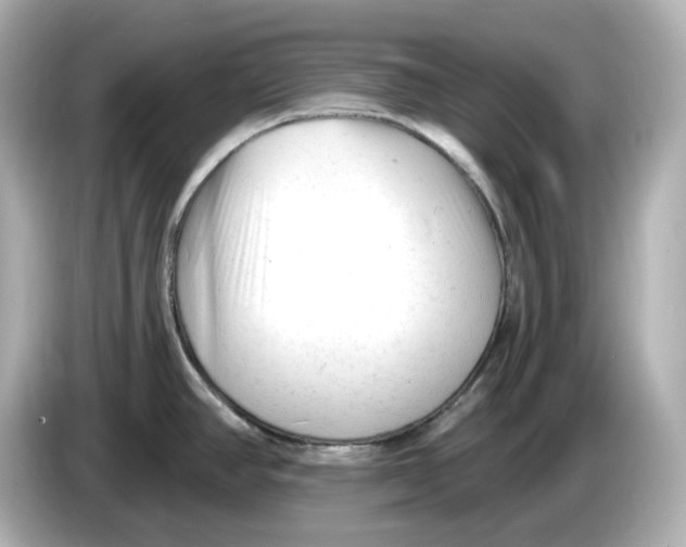 X0000085761390200704091326