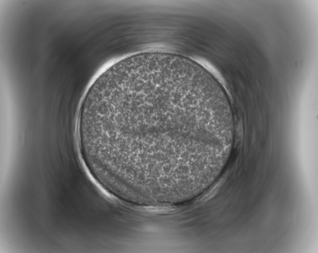 X0000085761391200704091326