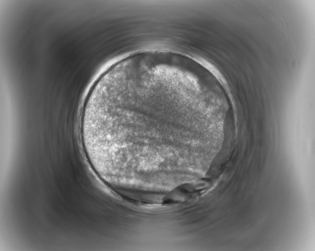 X0000085761392200704091326