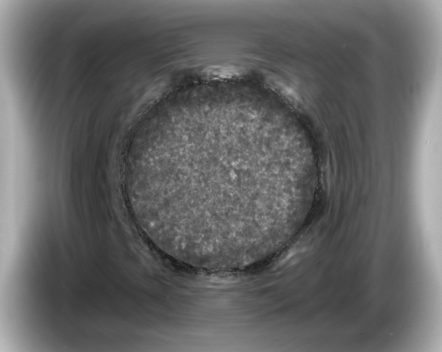 X0000085761393200704091326