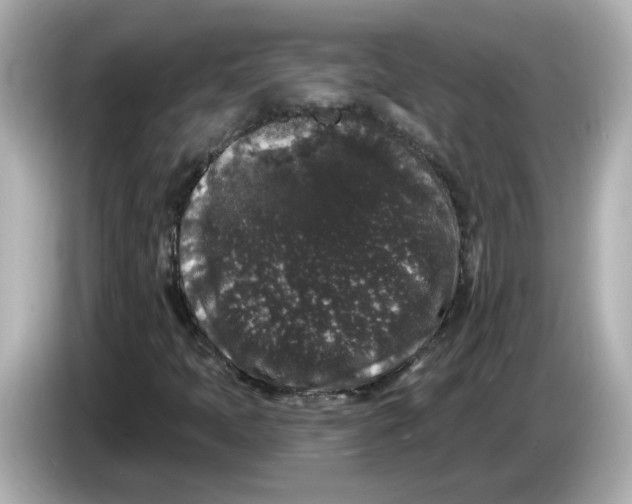 X0000085761397200704091326