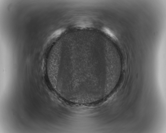 X0000085761398200704091326
