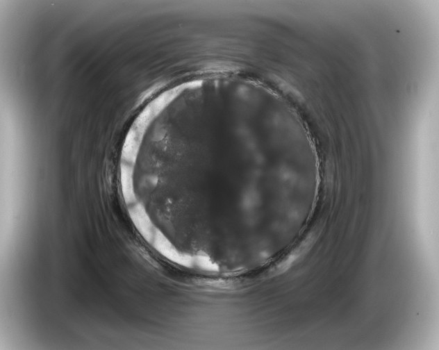 X0000085761401200704091326