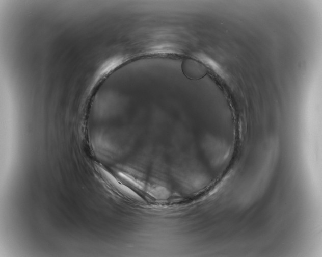 X0000085761405200704091326