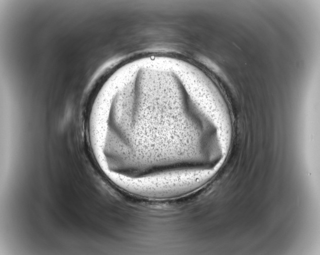 X0000085761408200704091326